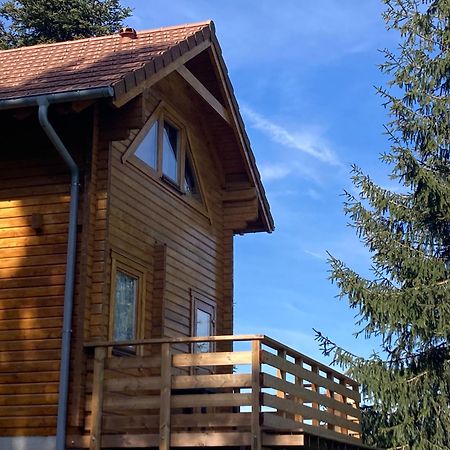 Chalet Authentique Au Calme, En Lisiere De Foret, Montagne, Sentiers 15Mn Gerardmer & Alsace "Chalet Mon Beau Sapin" Anould Eksteriør billede
