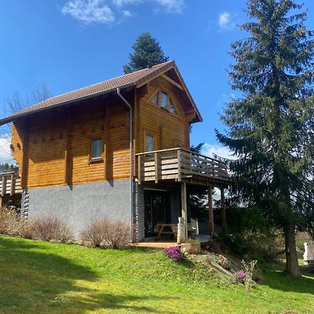 Chalet Authentique Au Calme, En Lisiere De Foret, Montagne, Sentiers 15Mn Gerardmer & Alsace "Chalet Mon Beau Sapin" Anould Eksteriør billede
