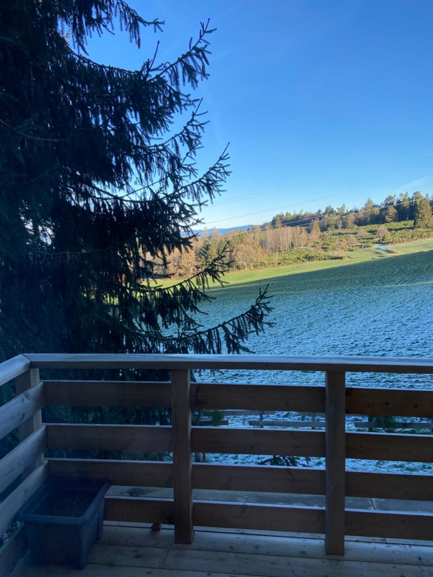 Chalet Authentique Au Calme, En Lisiere De Foret, Montagne, Sentiers 15Mn Gerardmer & Alsace "Chalet Mon Beau Sapin" Anould Eksteriør billede