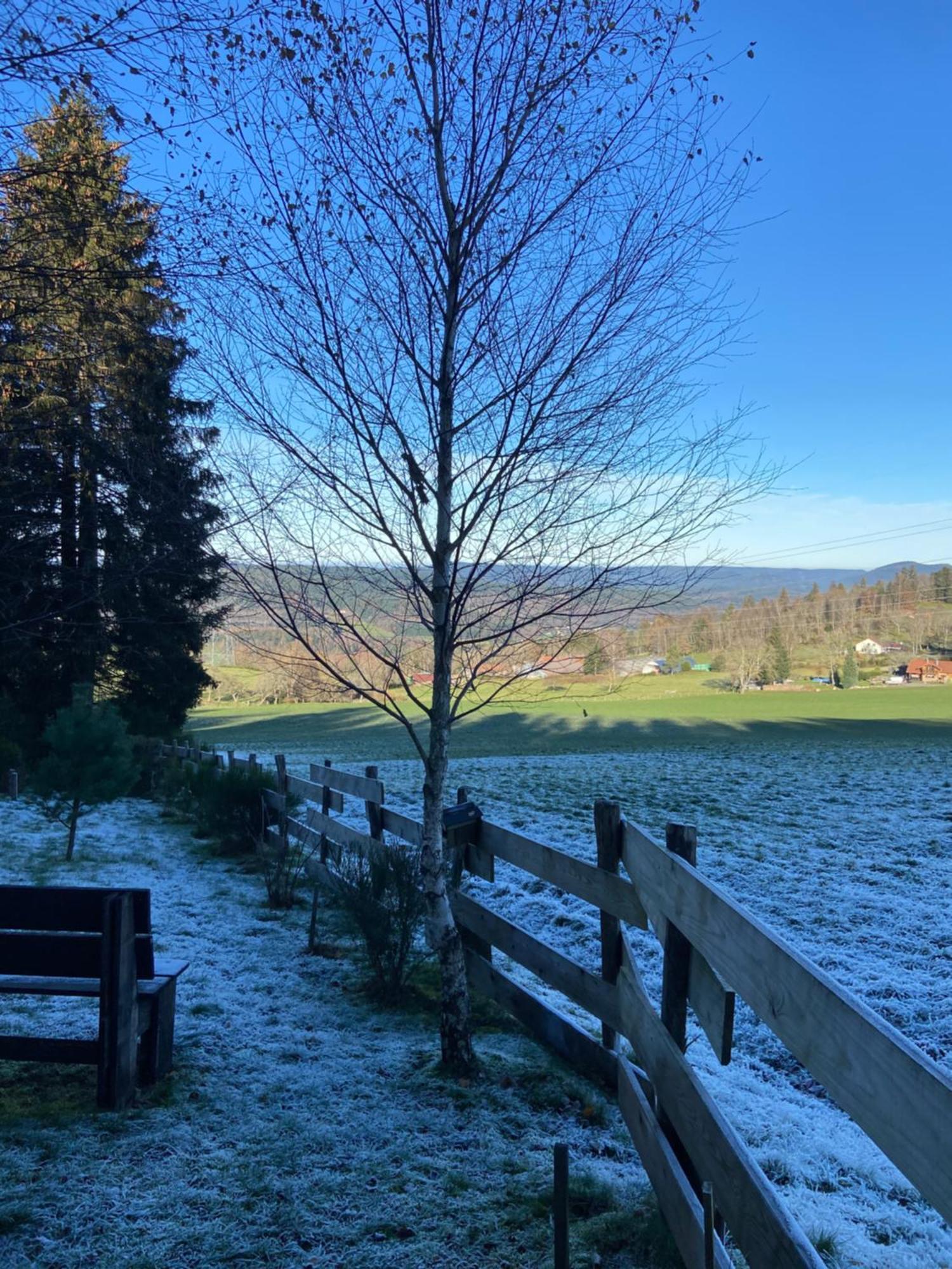 Chalet Authentique Au Calme, En Lisiere De Foret, Montagne, Sentiers 15Mn Gerardmer & Alsace "Chalet Mon Beau Sapin" Anould Eksteriør billede