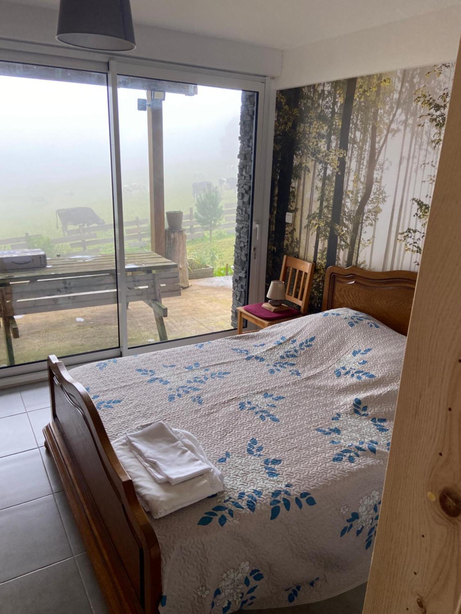 Chalet Authentique Au Calme, En Lisiere De Foret, Montagne, Sentiers 15Mn Gerardmer & Alsace "Chalet Mon Beau Sapin" Anould Eksteriør billede