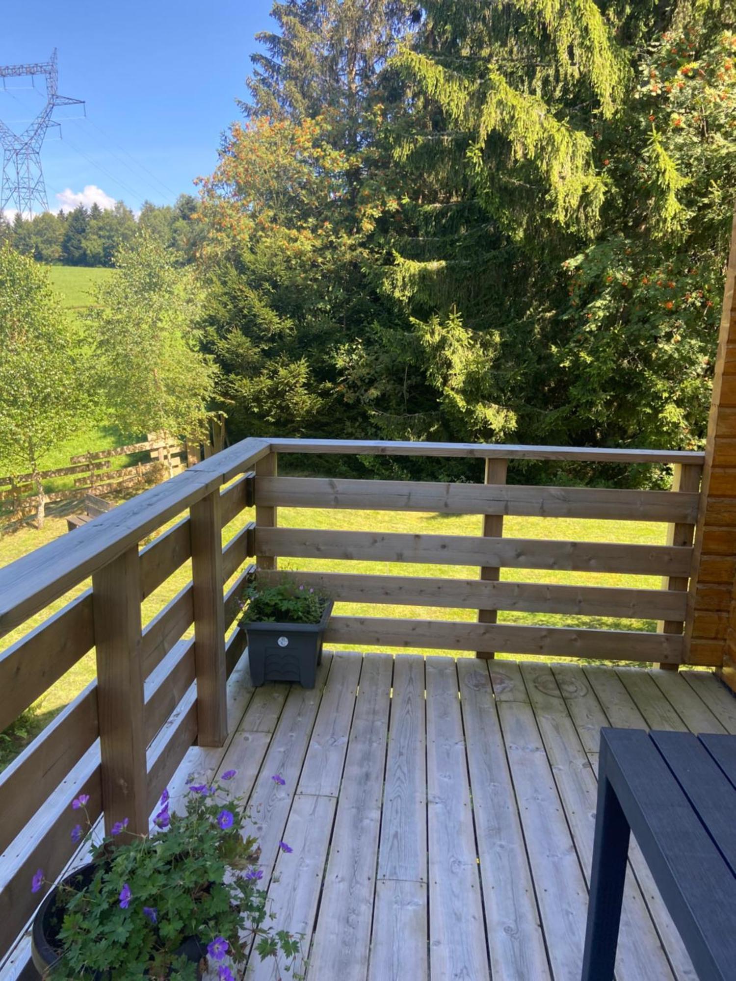 Chalet Authentique Au Calme, En Lisiere De Foret, Montagne, Sentiers 15Mn Gerardmer & Alsace "Chalet Mon Beau Sapin" Anould Eksteriør billede