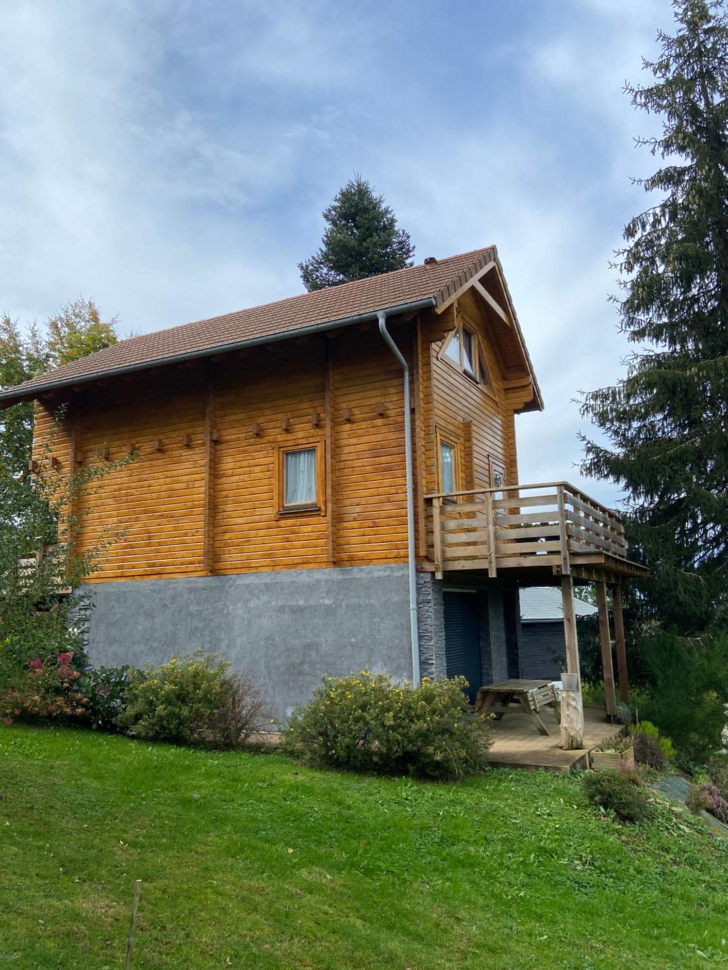 Chalet Authentique Au Calme, En Lisiere De Foret, Montagne, Sentiers 15Mn Gerardmer & Alsace "Chalet Mon Beau Sapin" Anould Eksteriør billede