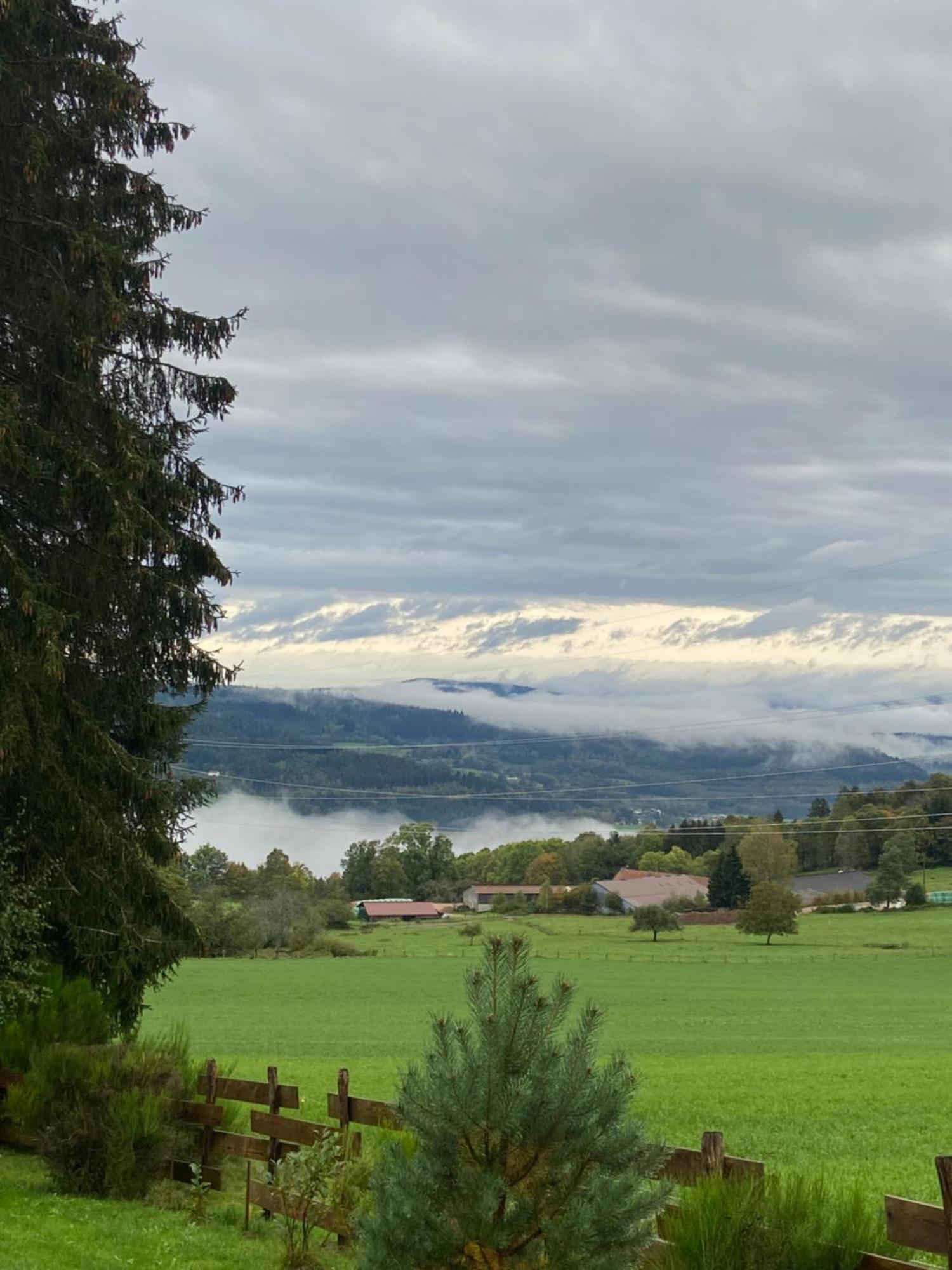 Chalet Authentique Au Calme, En Lisiere De Foret, Montagne, Sentiers 15Mn Gerardmer & Alsace "Chalet Mon Beau Sapin" Anould Eksteriør billede