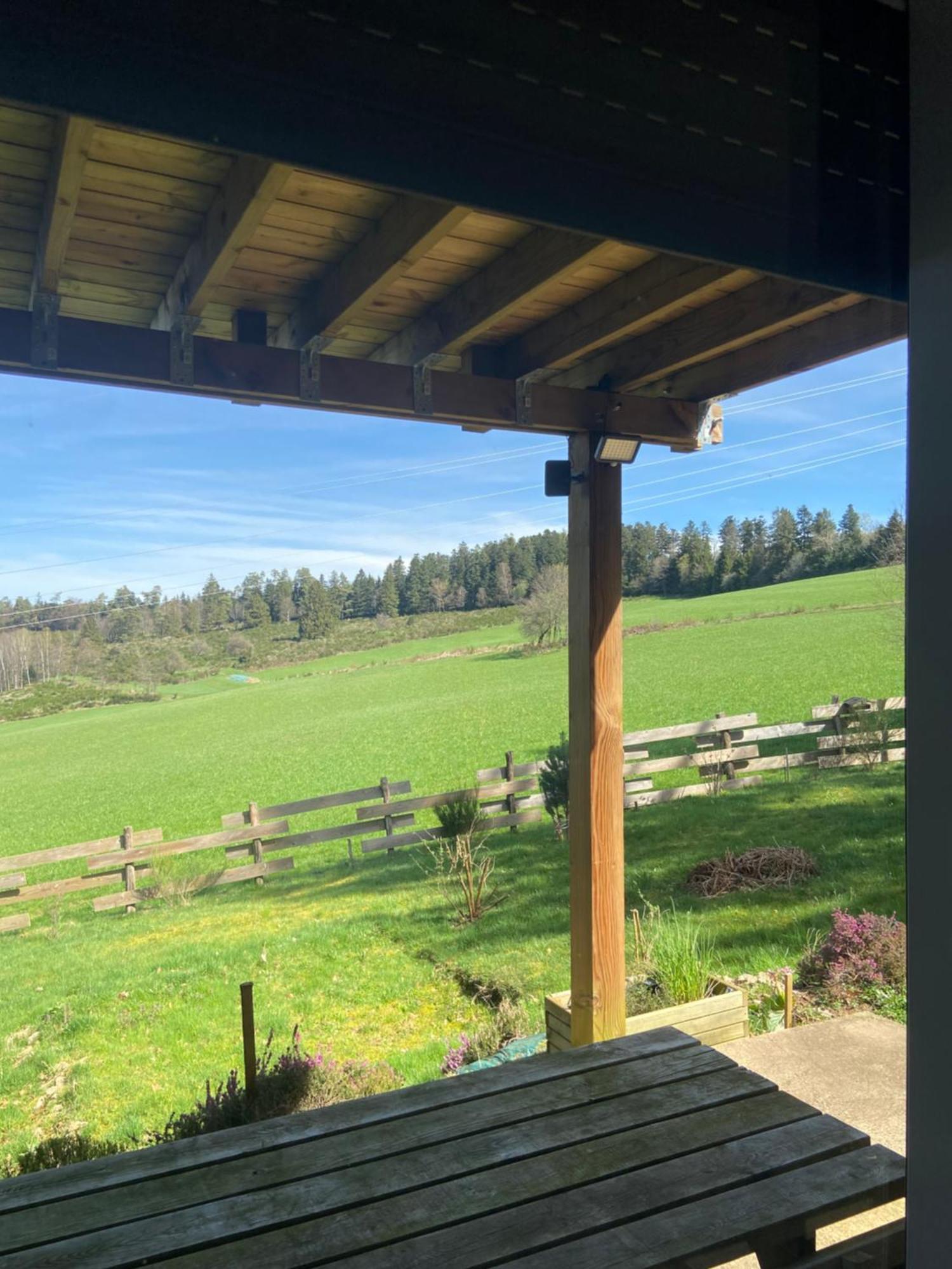 Chalet Authentique Au Calme, En Lisiere De Foret, Montagne, Sentiers 15Mn Gerardmer & Alsace "Chalet Mon Beau Sapin" Anould Eksteriør billede