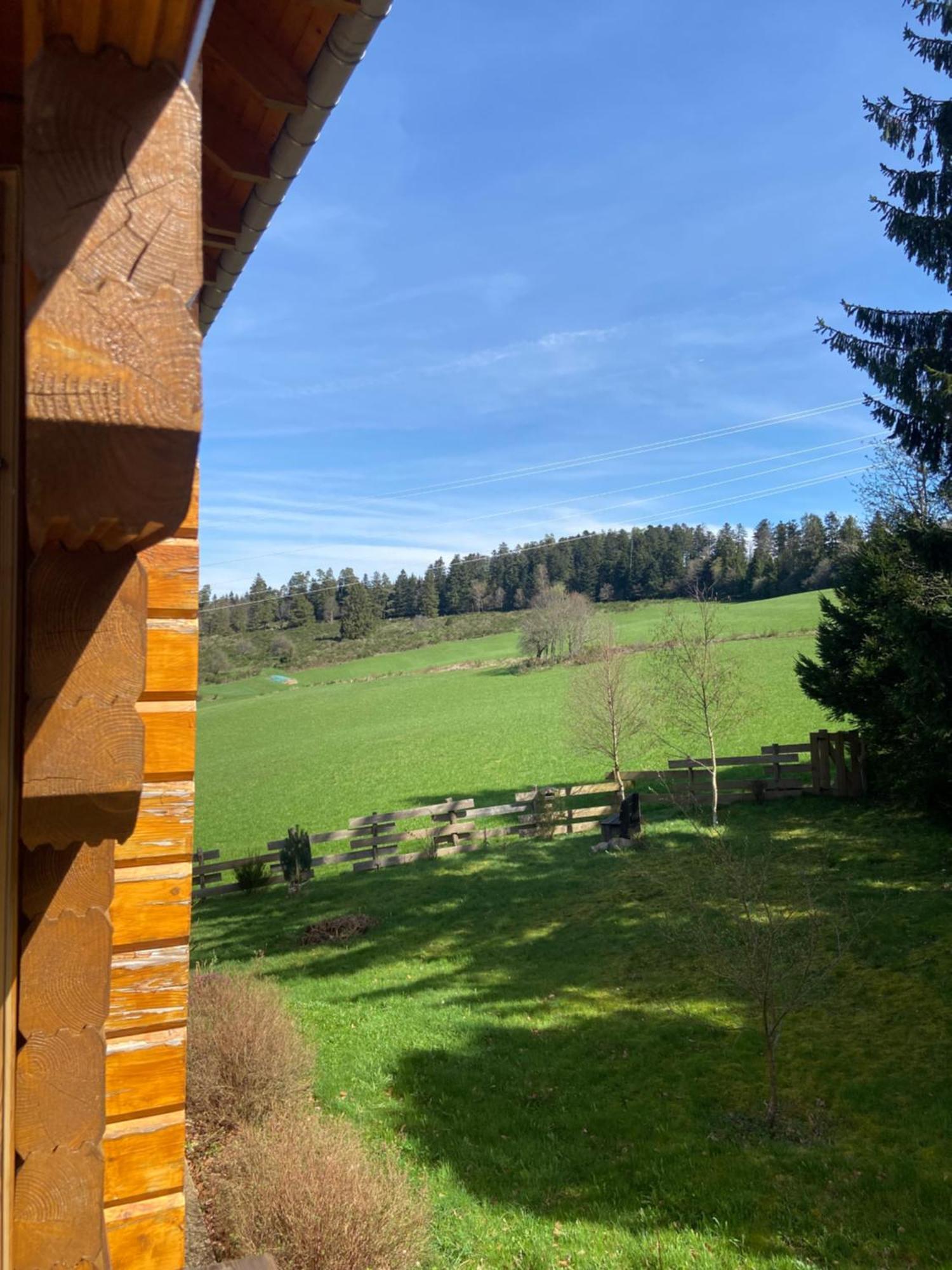 Chalet Authentique Au Calme, En Lisiere De Foret, Montagne, Sentiers 15Mn Gerardmer & Alsace "Chalet Mon Beau Sapin" Anould Eksteriør billede