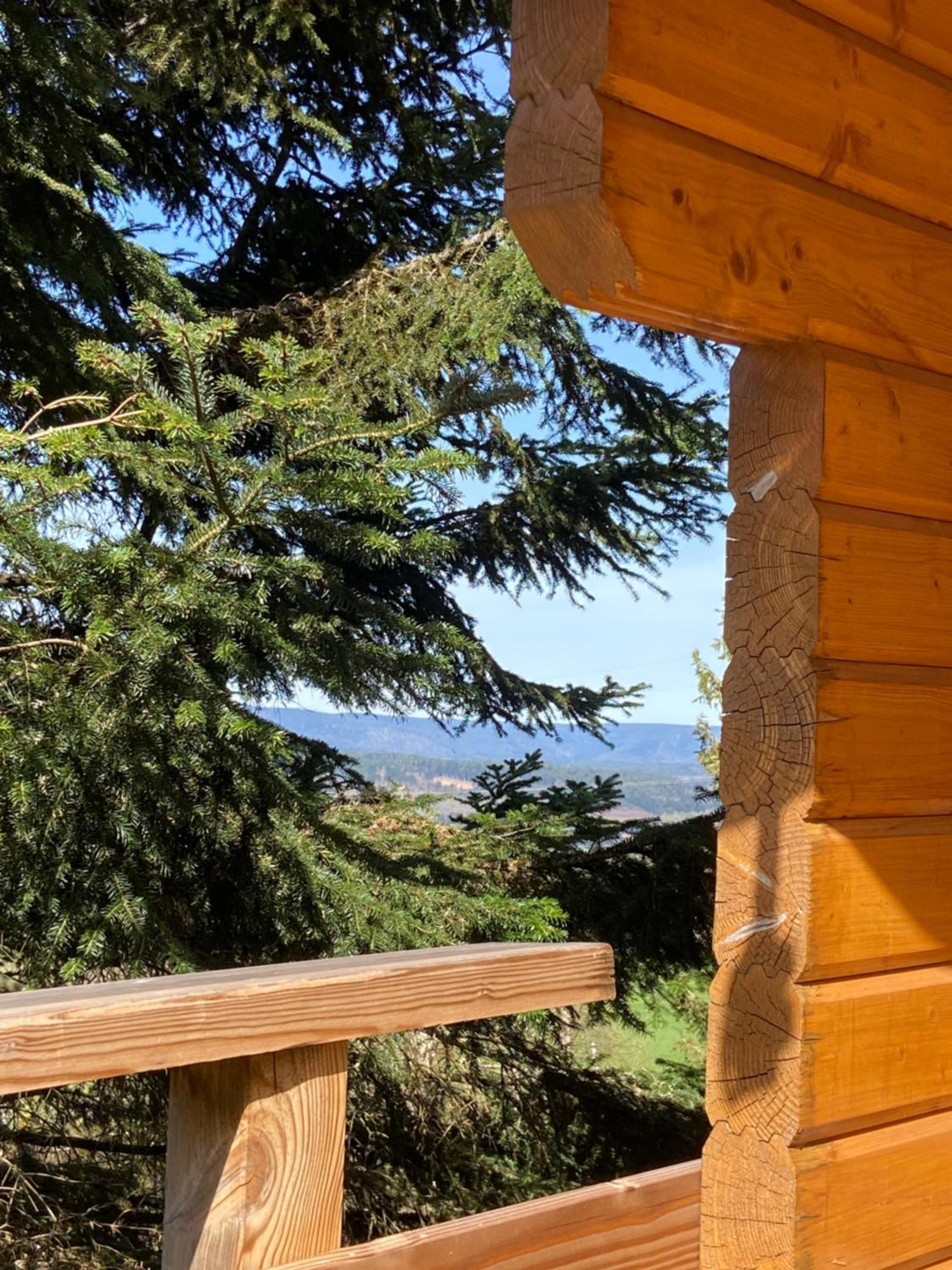 Chalet Authentique Au Calme, En Lisiere De Foret, Montagne, Sentiers 15Mn Gerardmer & Alsace "Chalet Mon Beau Sapin" Anould Eksteriør billede