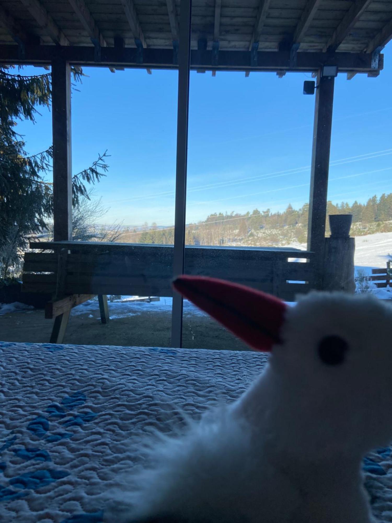 Chalet Authentique Au Calme, En Lisiere De Foret, Montagne, Sentiers 15Mn Gerardmer & Alsace "Chalet Mon Beau Sapin" Anould Eksteriør billede
