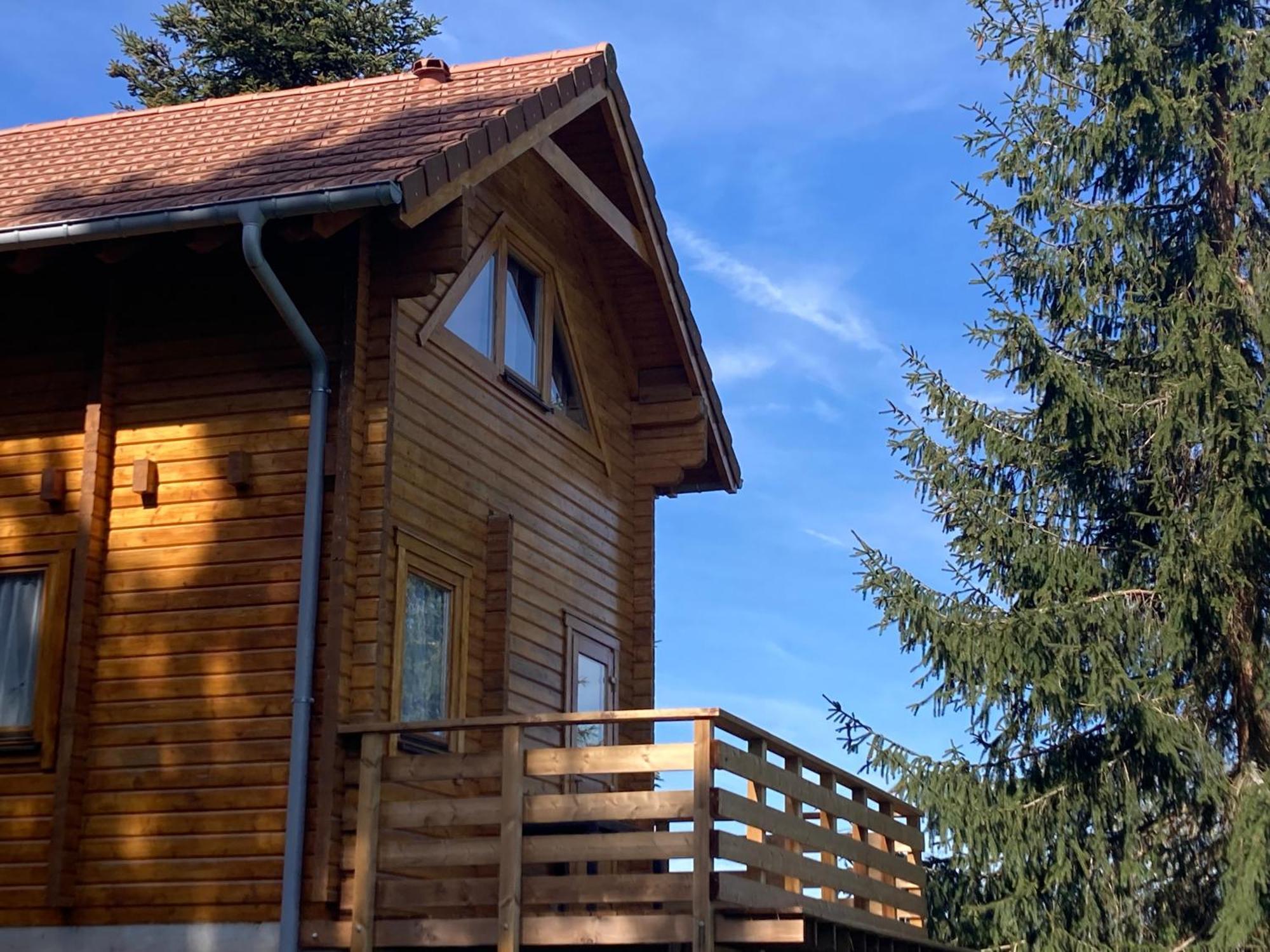 Chalet Authentique Au Calme, En Lisiere De Foret, Montagne, Sentiers 15Mn Gerardmer & Alsace "Chalet Mon Beau Sapin" Anould Eksteriør billede