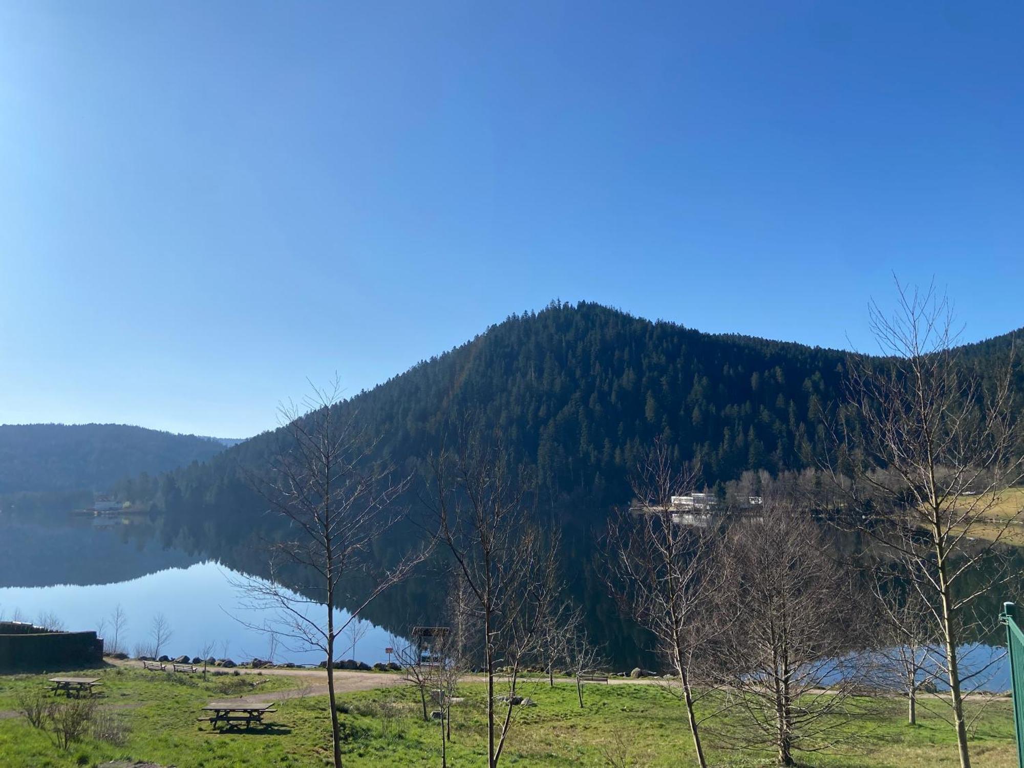 Chalet Authentique Au Calme, En Lisiere De Foret, Montagne, Sentiers 15Mn Gerardmer & Alsace "Chalet Mon Beau Sapin" Anould Eksteriør billede