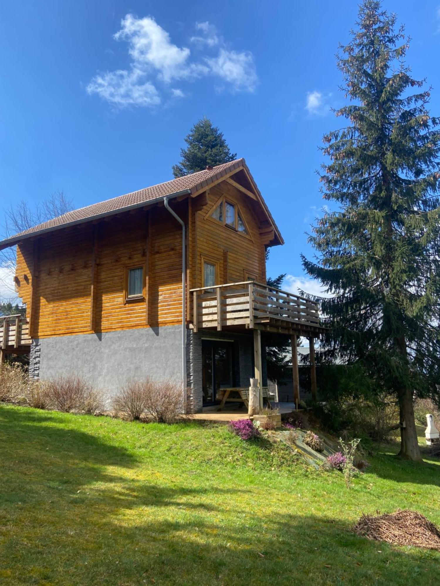 Chalet Authentique Au Calme, En Lisiere De Foret, Montagne, Sentiers 15Mn Gerardmer & Alsace "Chalet Mon Beau Sapin" Anould Eksteriør billede