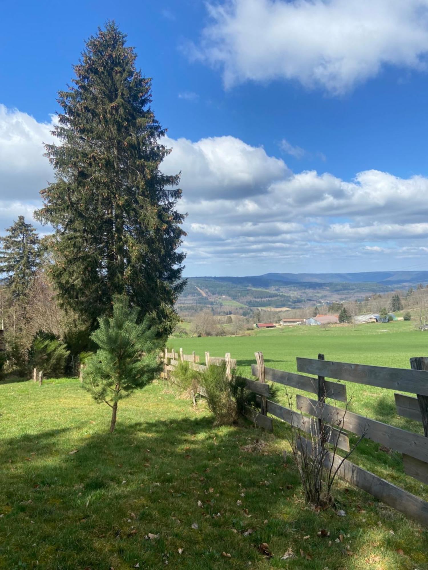 Chalet Authentique Au Calme, En Lisiere De Foret, Montagne, Sentiers 15Mn Gerardmer & Alsace "Chalet Mon Beau Sapin" Anould Eksteriør billede