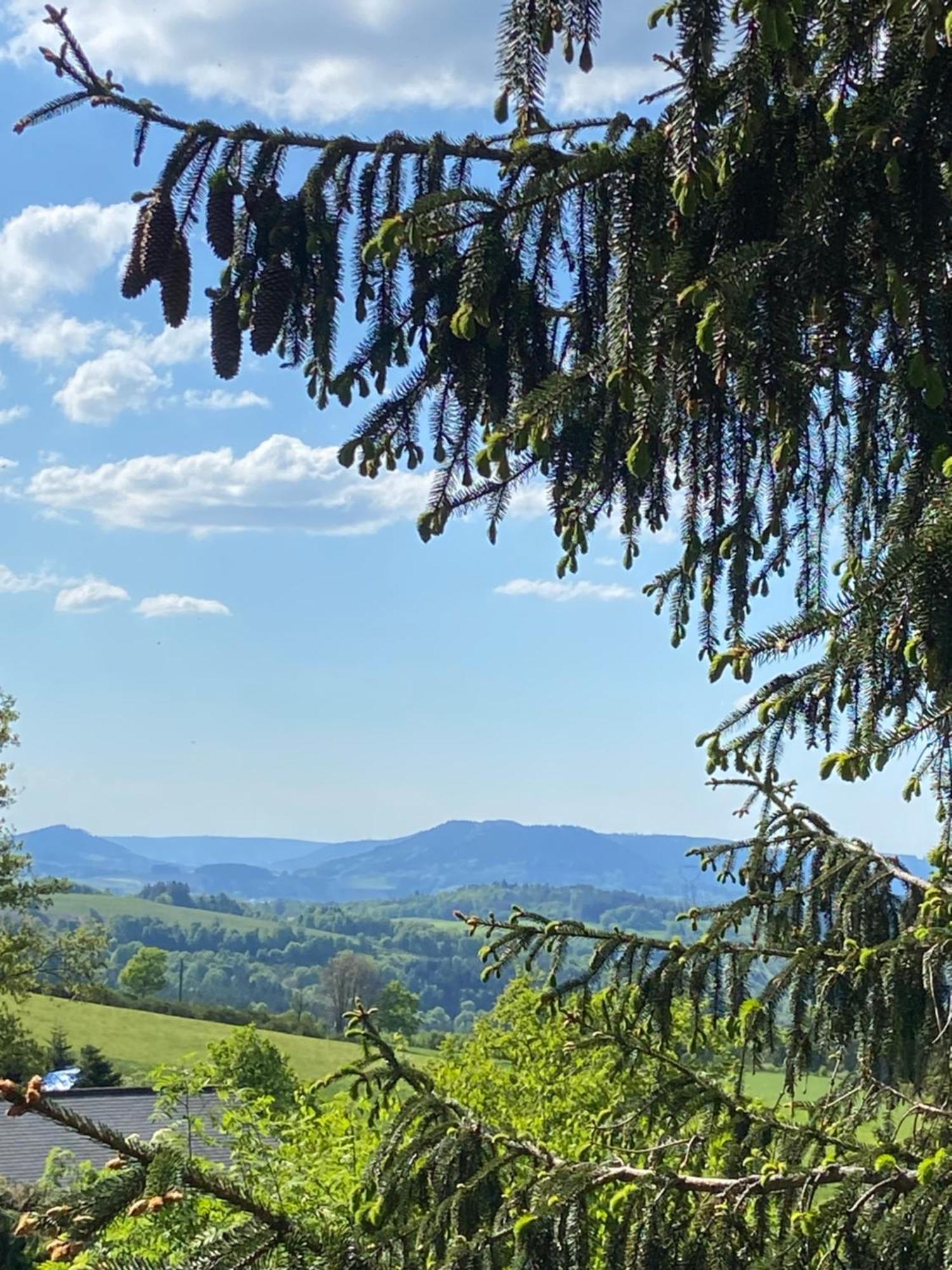 Chalet Authentique Au Calme, En Lisiere De Foret, Montagne, Sentiers 15Mn Gerardmer & Alsace "Chalet Mon Beau Sapin" Anould Eksteriør billede