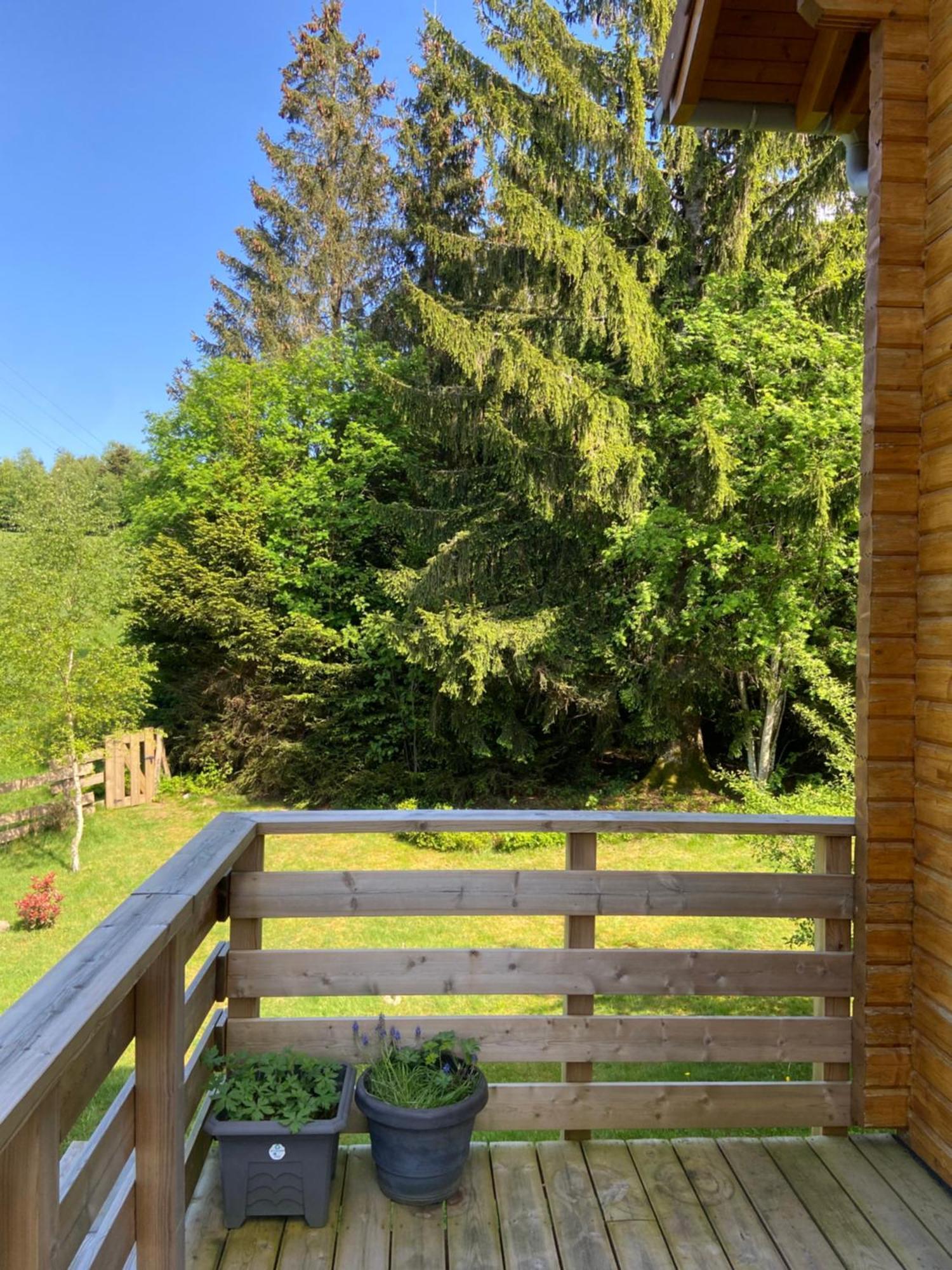 Chalet Authentique Au Calme, En Lisiere De Foret, Montagne, Sentiers 15Mn Gerardmer & Alsace "Chalet Mon Beau Sapin" Anould Eksteriør billede